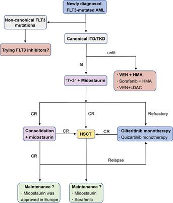 Developments and challenges of FLT3 inhibitors in acute myeloid leukemia